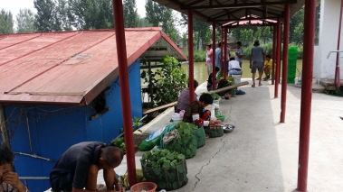 山重水复疑无路,柳暗花明又一村~一趟特殊交通工具带来的微山县农家菜之行 ... ...