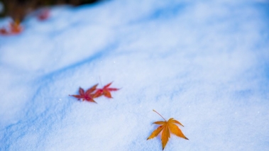 雪霁