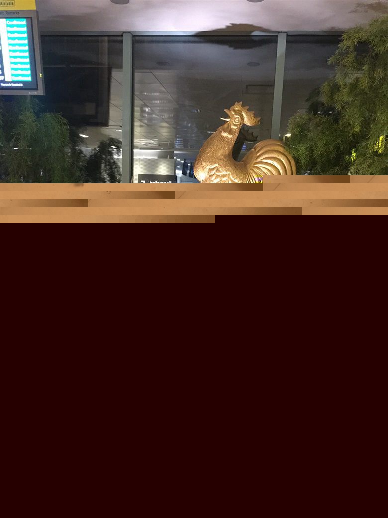2017Singapore 0053.jpg