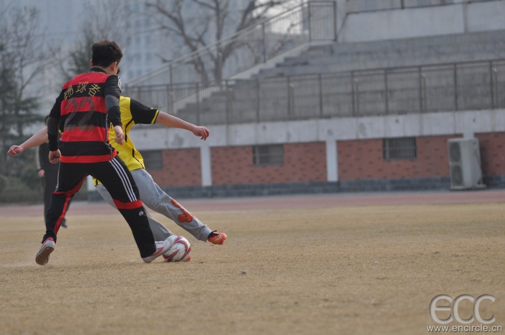 DSC_0107.JPG