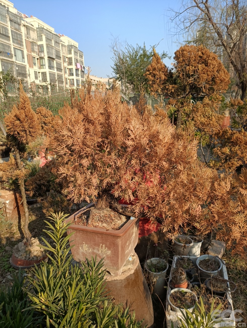 微信图片_202212191604082.jpg