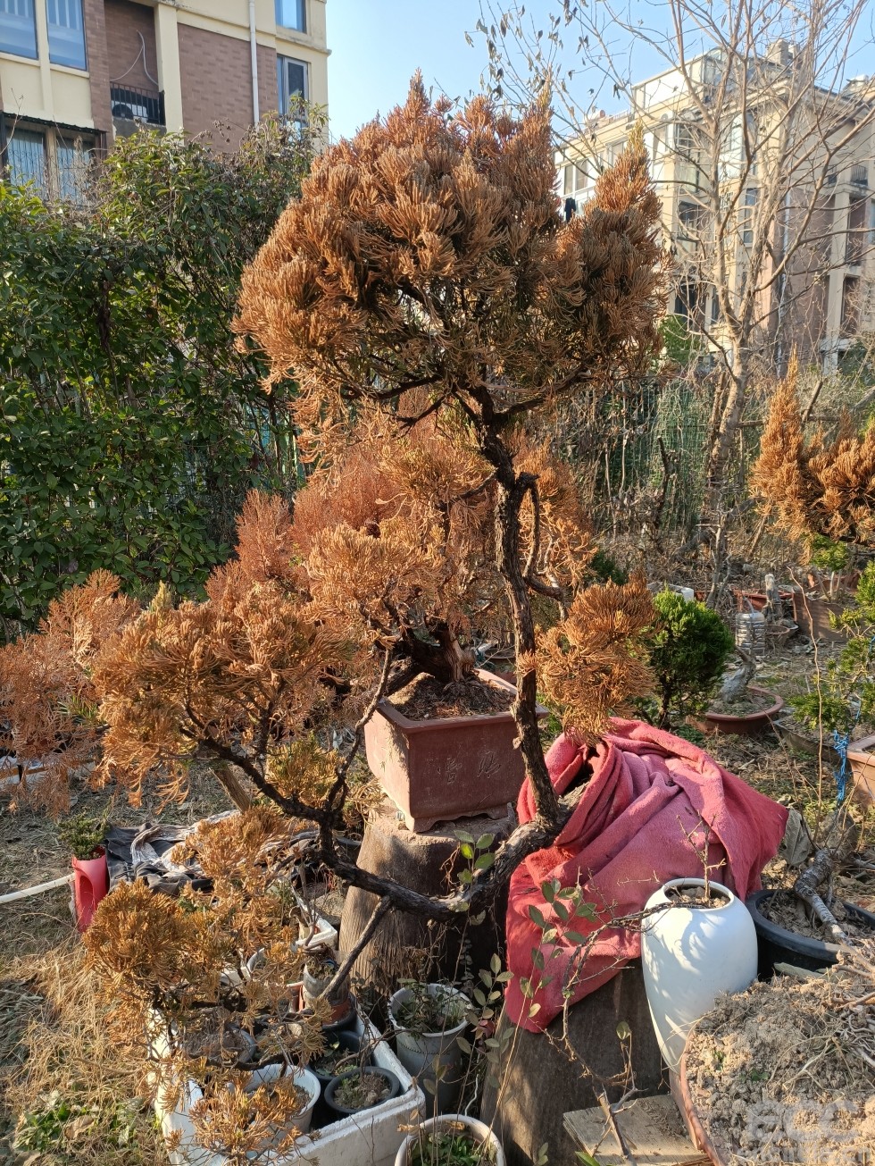 微信图片_202212191604083.jpg