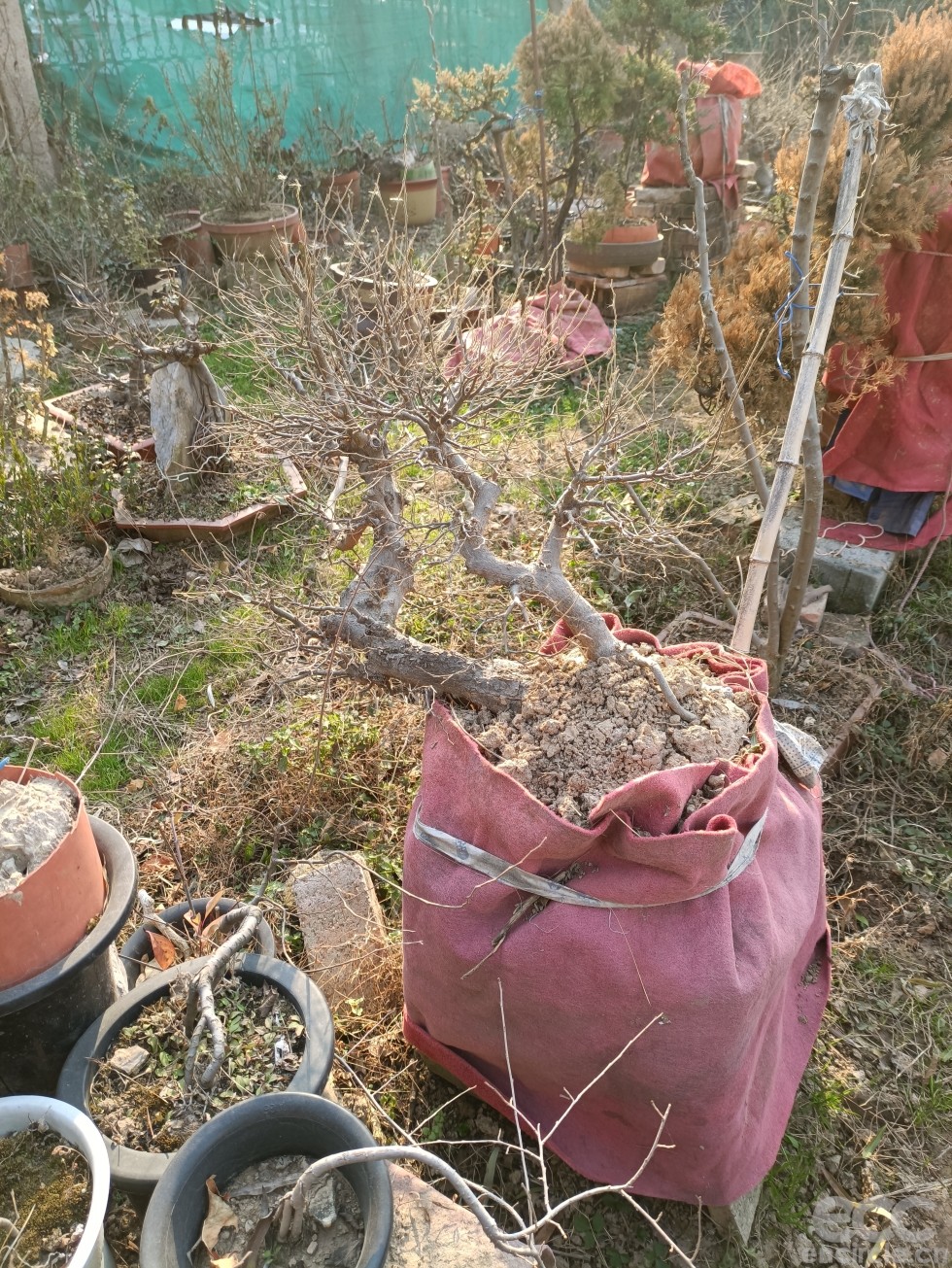 微信图片_2022121916040817.jpg