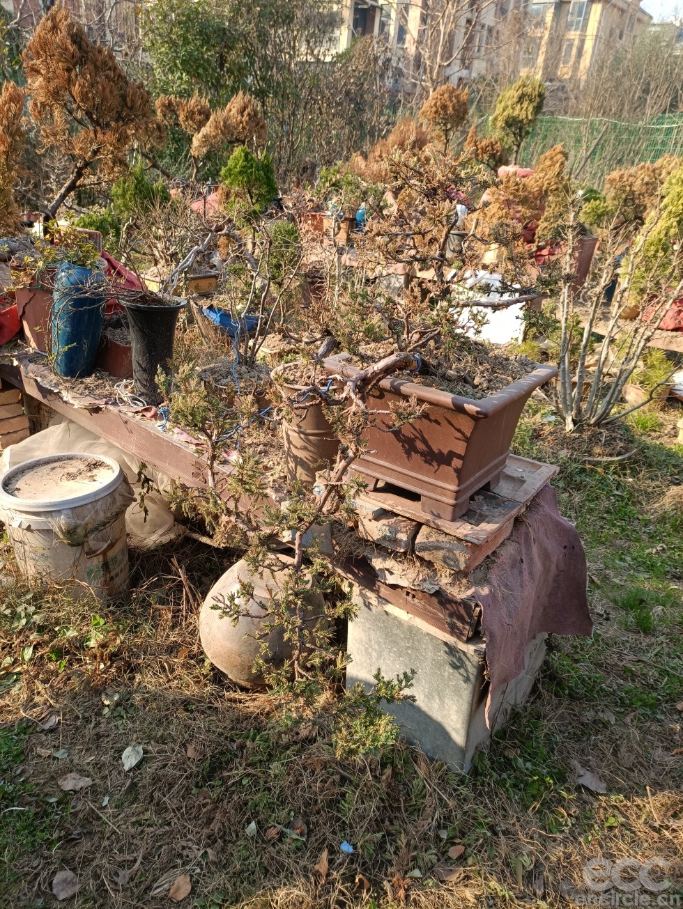 微信图片_2022121916040824.jpg