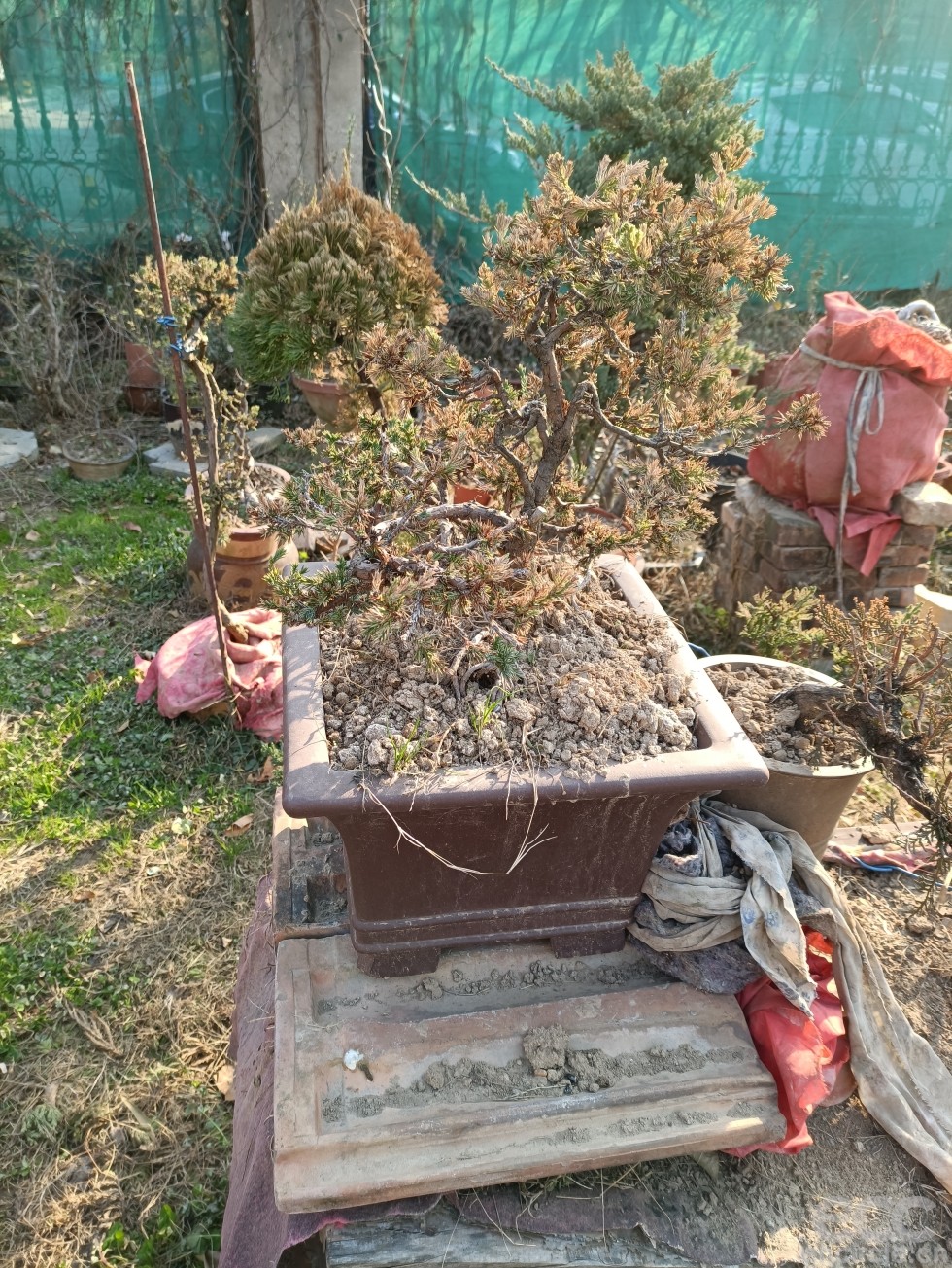 微信图片_2022121916040829.jpg