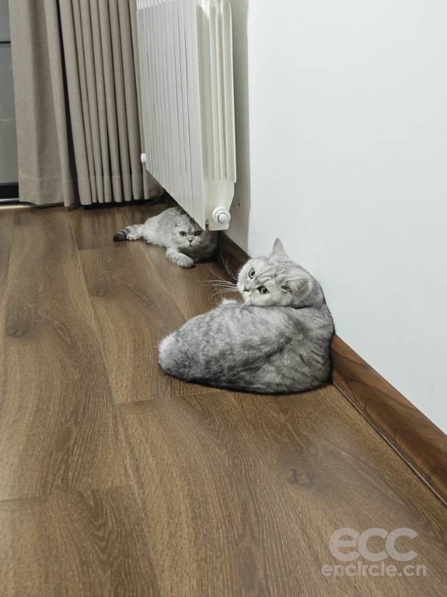03.jpg
