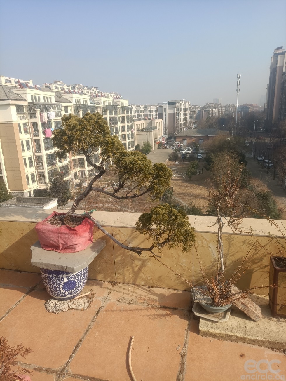 微信图片_202301071447488.jpg
