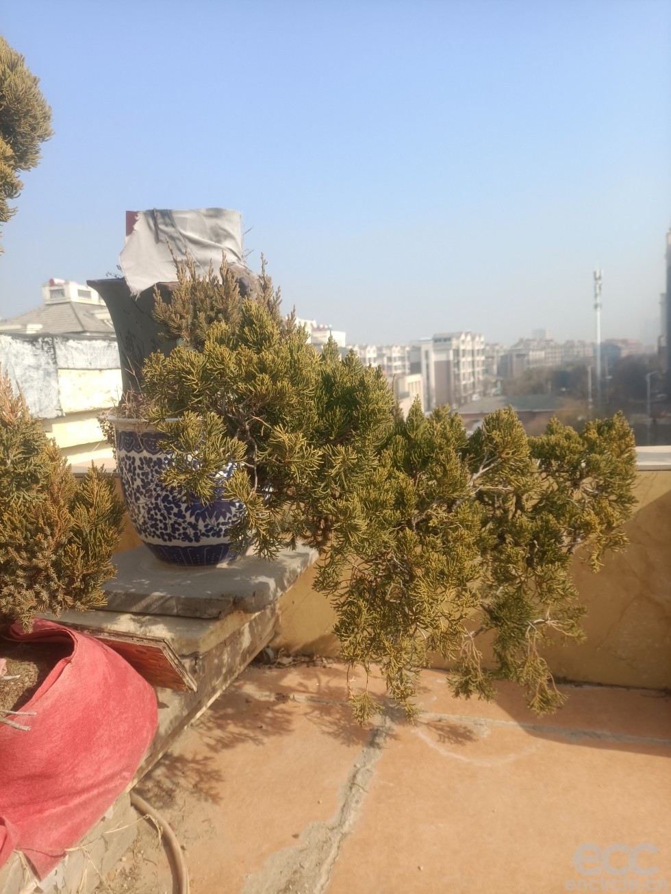 微信图片_2023010714474811.jpg