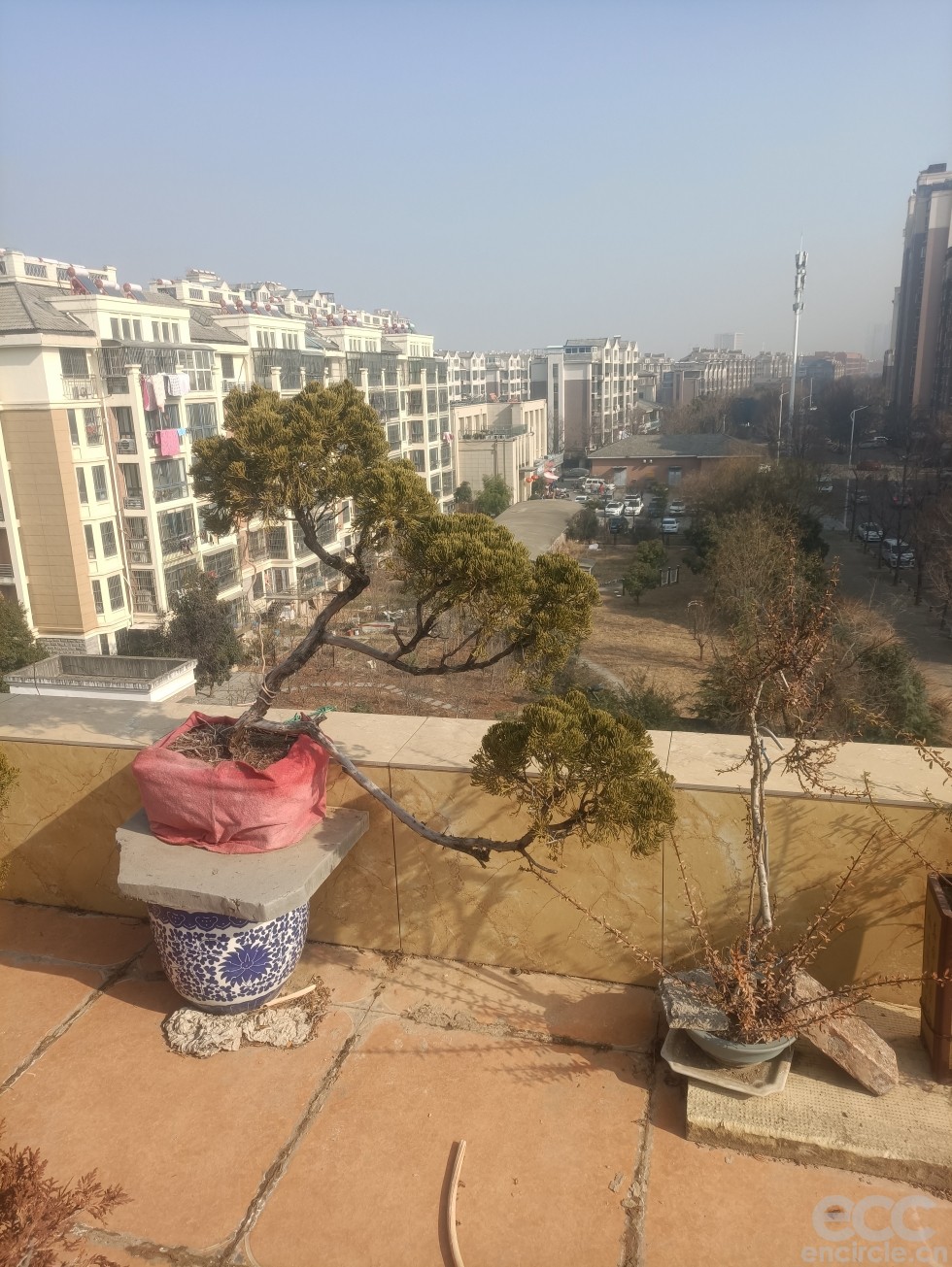 微信图片_2023010714474812.jpg